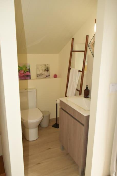 Sonho Paixao Villa เซาวิเซนเจ ภายนอก รูปภาพ